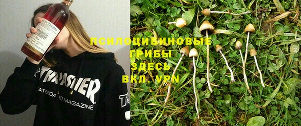 гашик Лабытнанги
