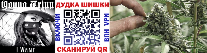 Марихуана план  что такое наркотик  Пойковский 